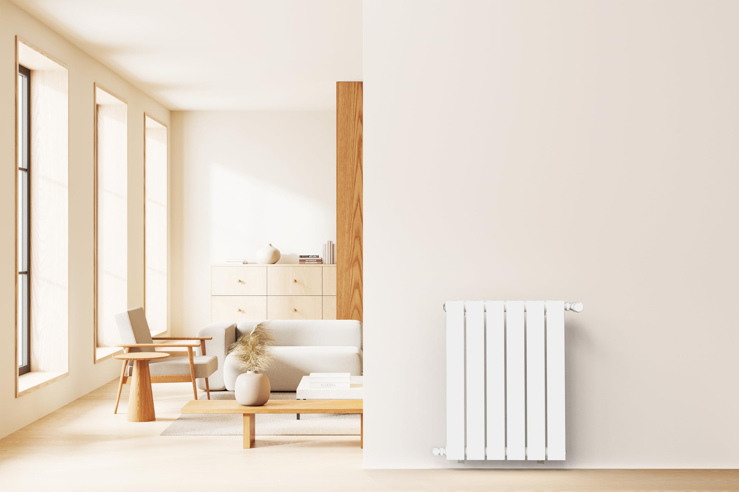 noyon-thiebault-nytia-radiateur-eau-chaude-horizontal-acier-blanc-60x45-cm-361w image 2