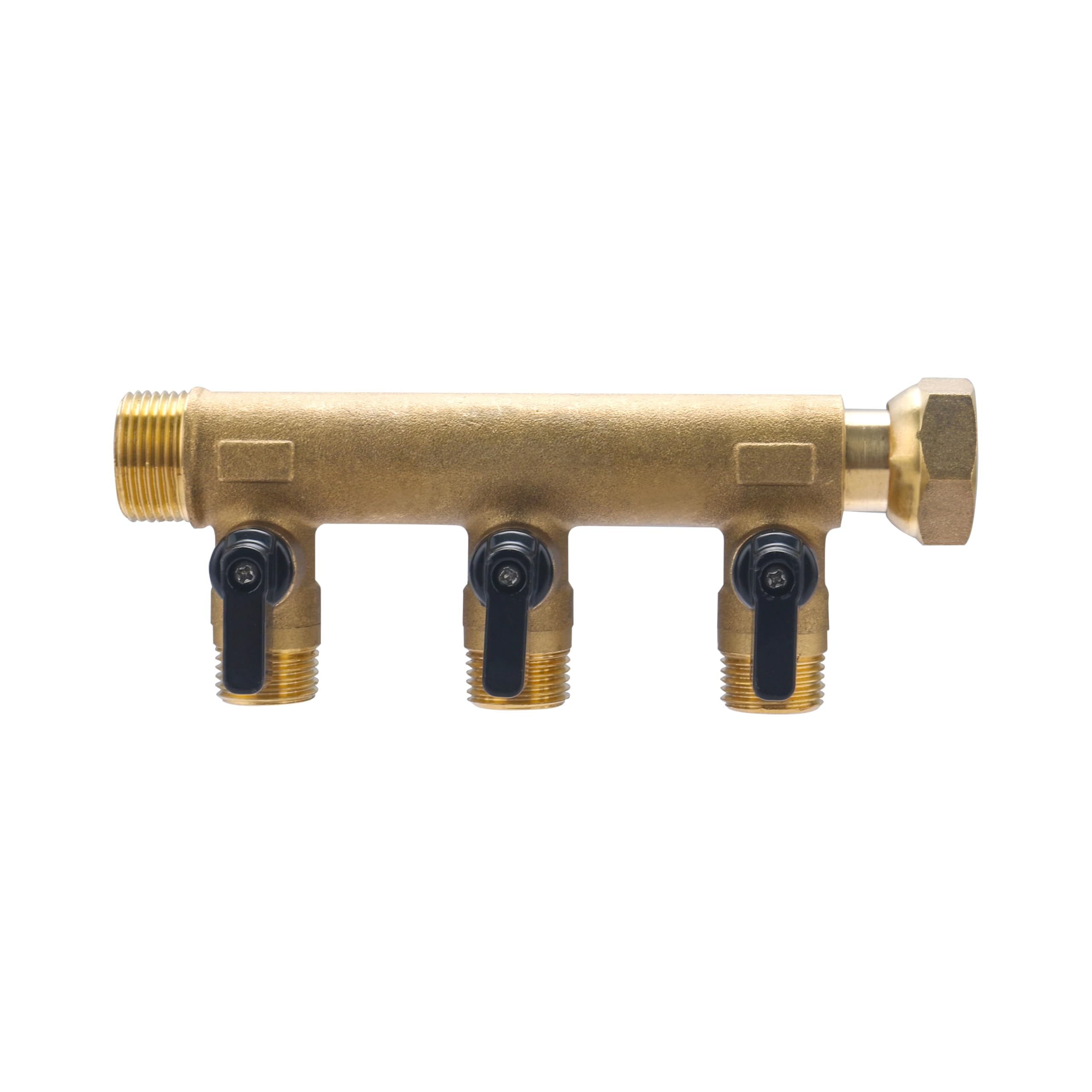 noyon-thiebault-collecteur-crou-libre-femelle-m-le-20x27-3-d-parts-vannes-15x21 image 3