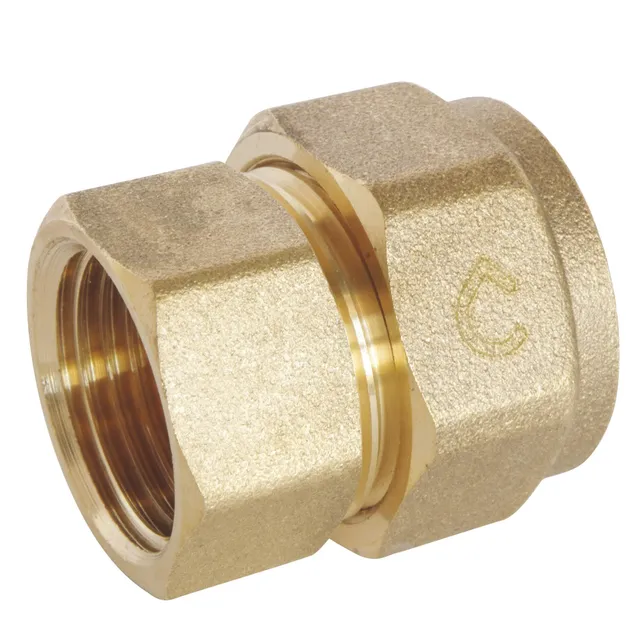 somatherm-for-you-raccord-femelle-compression-16-pour-tube-per-12-17-3-8 image 1