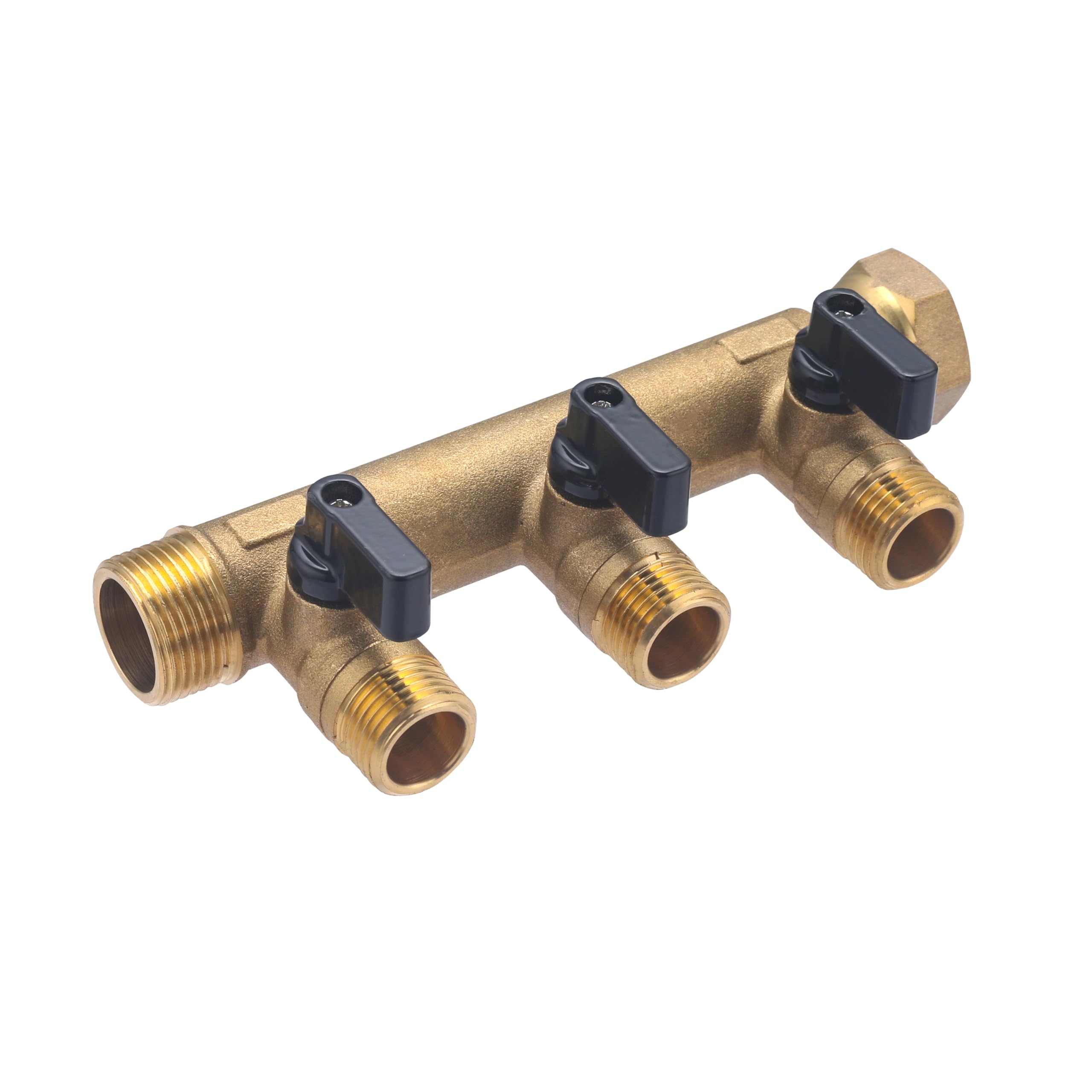 noyon-thiebault-collecteur-crou-libre-femelle-m-le-20x27-3-d-parts-vannes-15x21 image 5