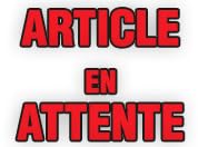 noyon-thiebault-robinet-de-vidange-radiateur-bec-orientable-m1-2-15x21 image 3