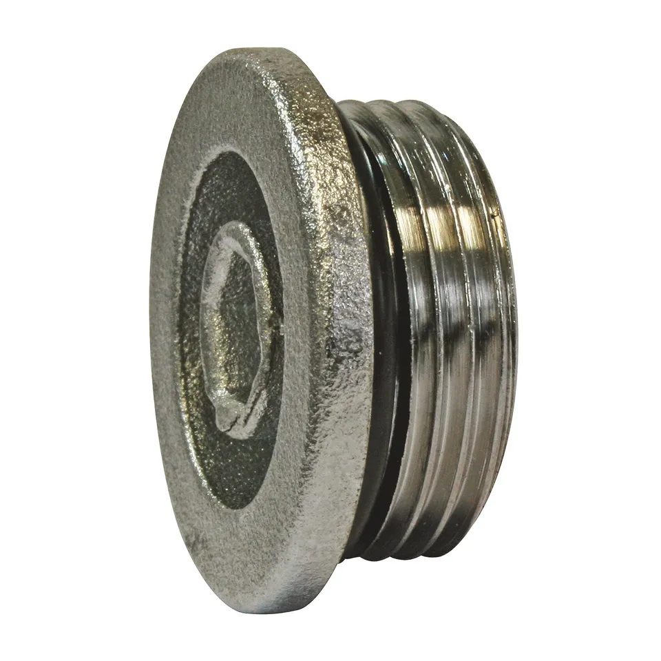 somatherm-for-you-bouchon-m-le-20-27-chrom-auto-tanche image 1
