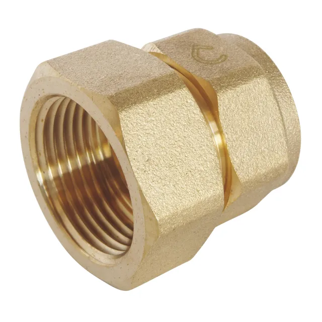 somatherm-for-you-raccord-droit-visser-per-25-femelle-26-34-d-montable image 1